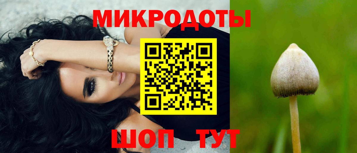 Лесозаводск  Галлюциногенные грибы прущие грибы  Вход с VPN 